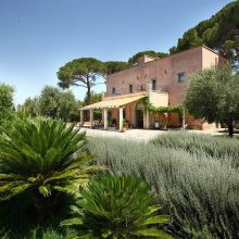 Country Apartments Otranto_Terrace Rosmarino, Alloro