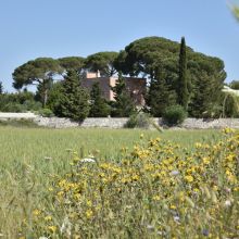 Country Apartments Otranto